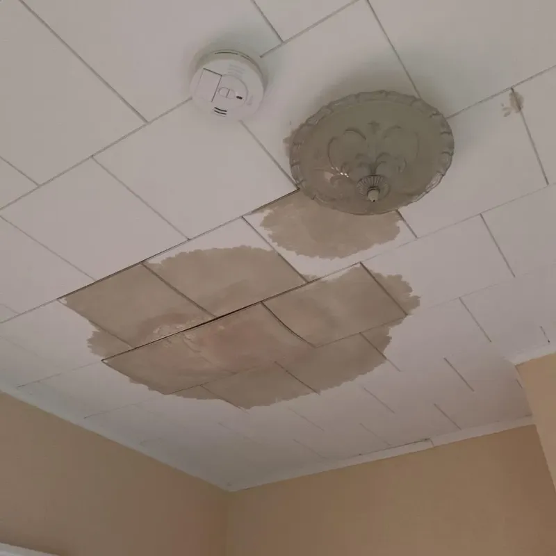 Ceiling Water Damage Repair in Zumbrota, MN